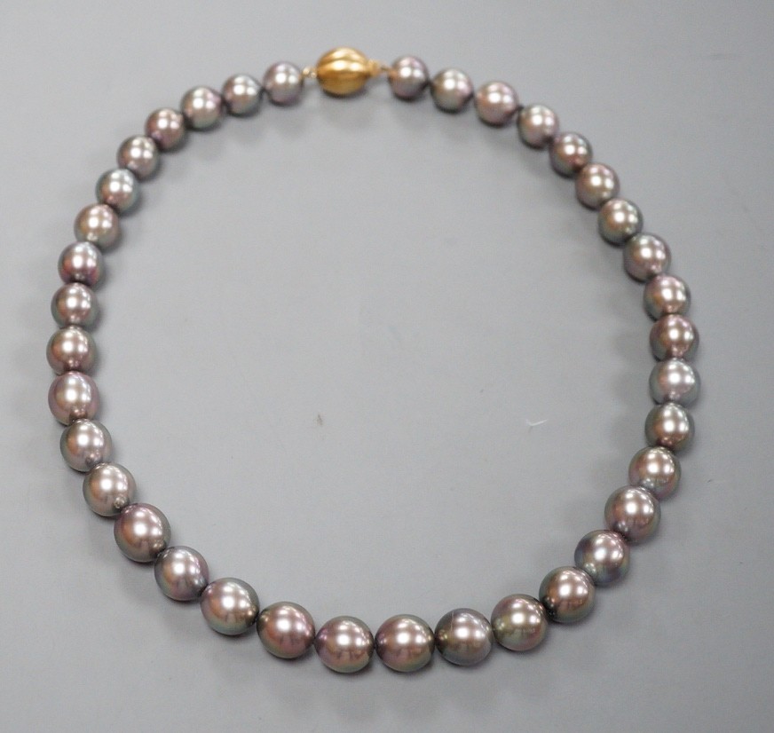 A single strand Tahitian style South Sea pearl necklace, with 585 brushed yellow metal clasp, retailed by Musson
